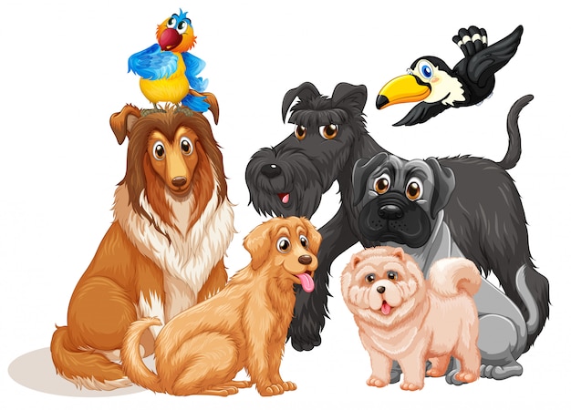 Vector gratuito lindo grupo de perros animales sobre fondo blanco