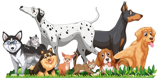 Vector gratuito lindo grupo de perros diferentes