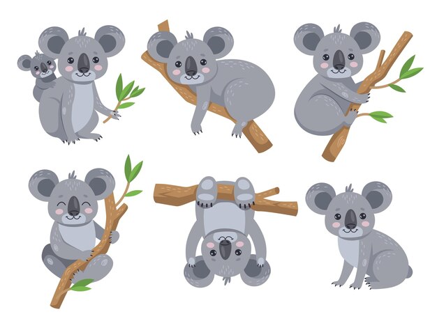 Lindo koala sentado en un conjunto de ilustraciones de dibujos animados de árboles de eucalipto. Adorable oso australiano con bebé, acostado y colgado de un árbol, sosteniendo una rama de hoja. Concepto de animales salvajes