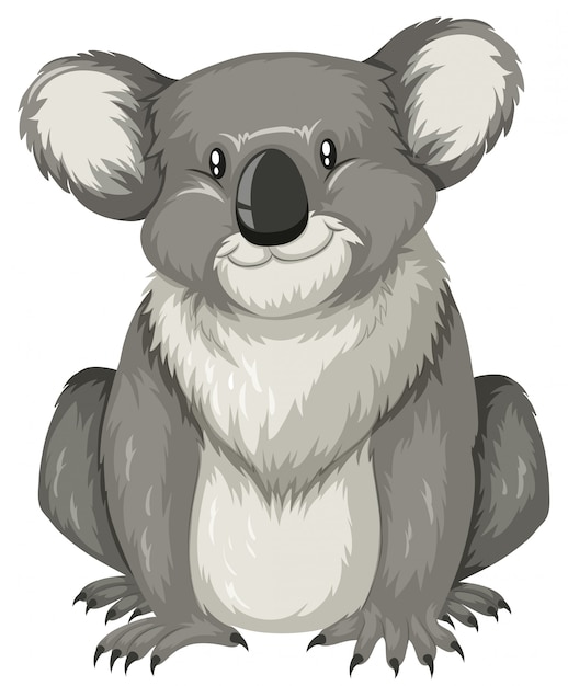 Vector gratuito lindo koala sentado solo