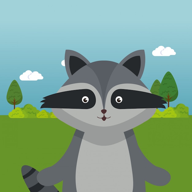 lindo mapache en el personaje de paisaje de campo