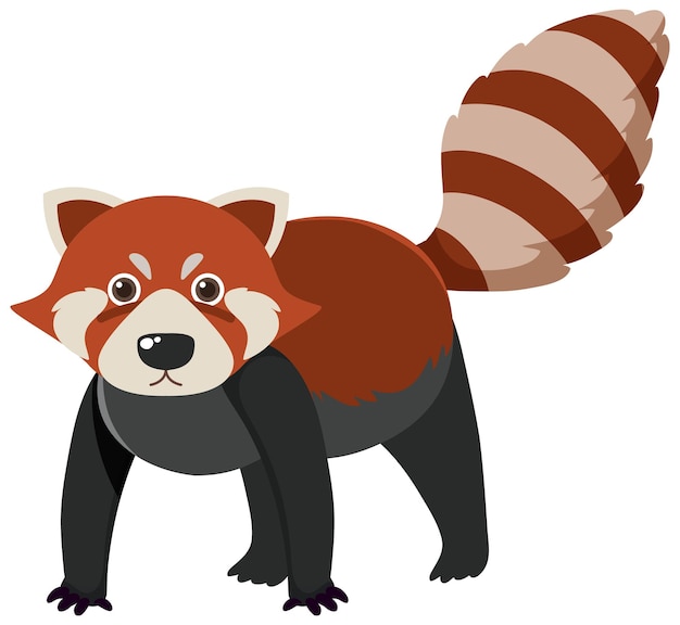 Lindo mapache rojo en estilo de dibujos animados plana