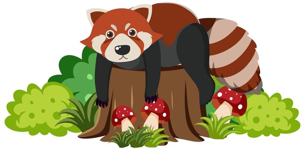 Lindo mapache rojo en estilo de dibujos animados plana