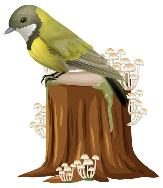Lindo pájaro de pie en el registro
