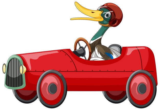 Lindo pato con casco conduciendo coche de carreras