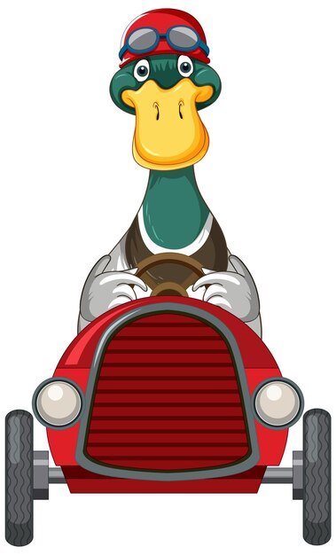 Lindo pato con casco conduciendo coche de carreras
