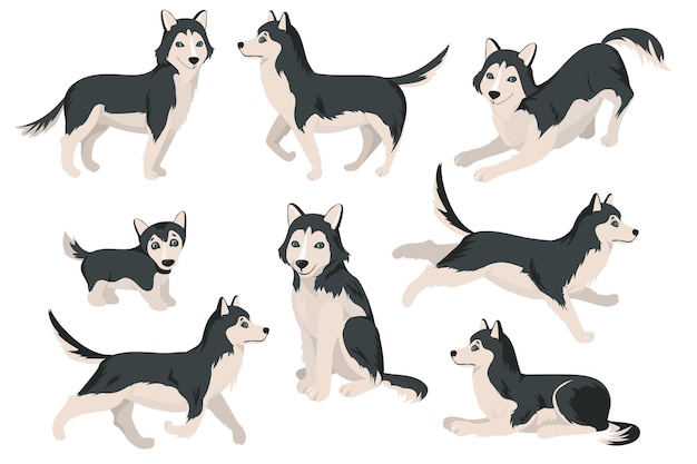 Vector gratuito lindo perro husky en diferentes poses plano conjunto