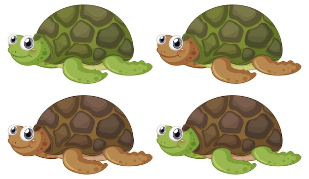 Vector gratuito lindo personaje de dibujos animados de tortuga sobre fondo blanco