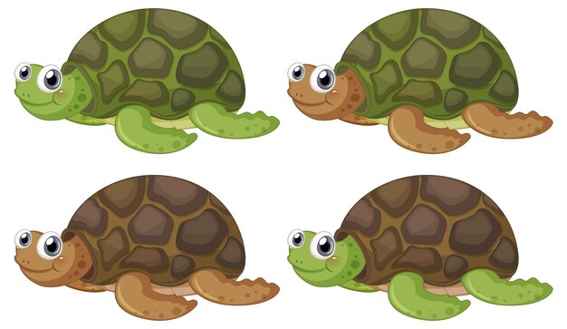 Lindo personaje de dibujos animados de tortuga sobre fondo blanco