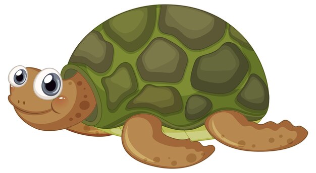 Lindo personaje de dibujos animados de tortuga sobre fondo blanco
