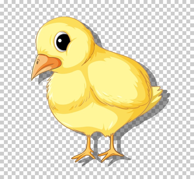 Vector gratuito lindo pollito en estilo de dibujos animados