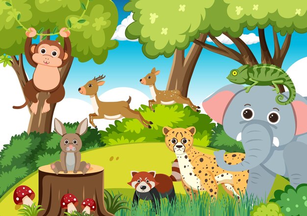 Lindos animales salvajes en el bosque