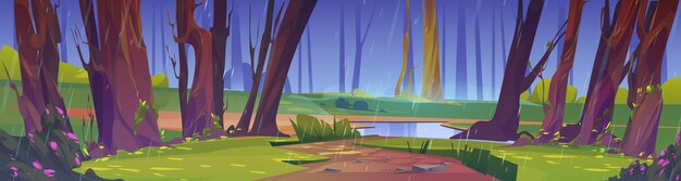 Lluvia de verano en la escena del paisaje de la naturaleza salvaje del bosque