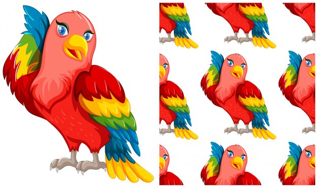 loro aislado en blanco
