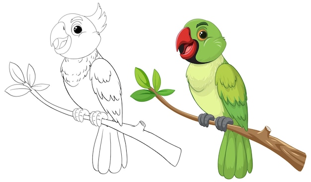 Vector gratuito el loro colorido se encuentra con un compañero sketchy