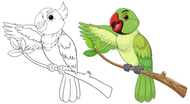 El loro colorido se encuentra con su amigo sketchy