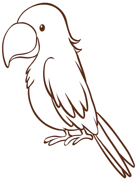 Vector Simple Para Colorear Zoo Animal Pájaro Tucán, Color Por