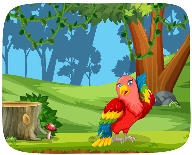 Loro lindo en escena de la naturaleza