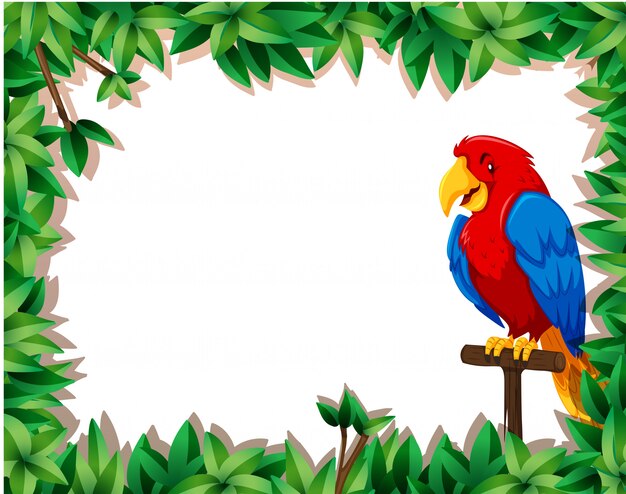 Loro con marco natural.