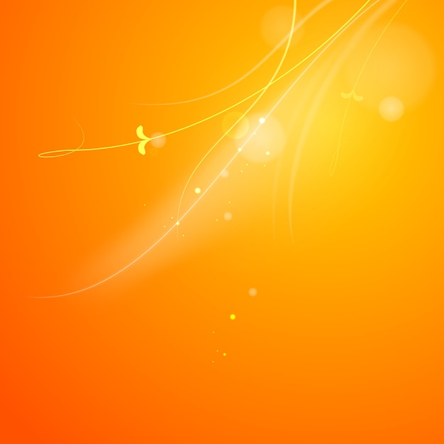 Luz cálida del sol.