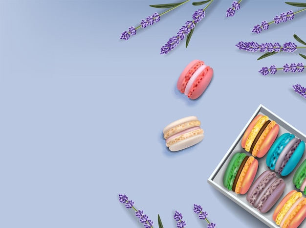 Macarrones y lavanda Vector realista. Ilustraciones detalladas en 3d