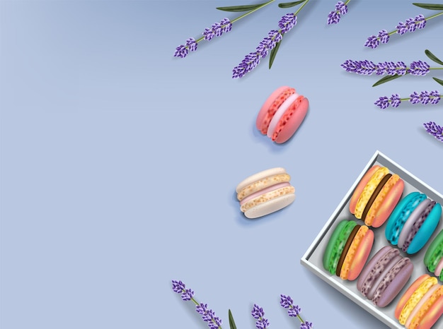 Macarrones y lavanda vector realista. ilustraciones detalladas en 3d