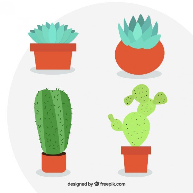Macetas con cactus en diseño plano