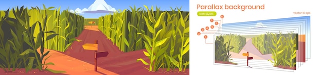 Vector gratuito maizal de fondo de paralaje con punteros de camino de madera y altos tallos de plantas verdes. paisaje de dibujos animados naturaleza paisaje 2d con capas separadas para la escena del juego. laberinto, escena de laberinto ilustración vectorial