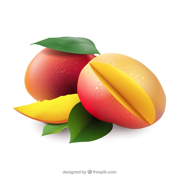 Vector gratuito mangos en estilo realista