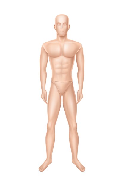 Maniquí de hombre, maniquí para tienda de ropa.