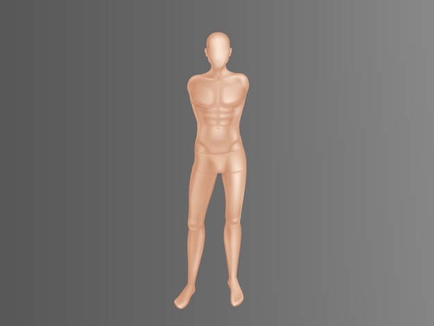 Maniquí masculino realista 3d - cuerpo completo sin manos. Figura humana con musculos para entrenamiento.