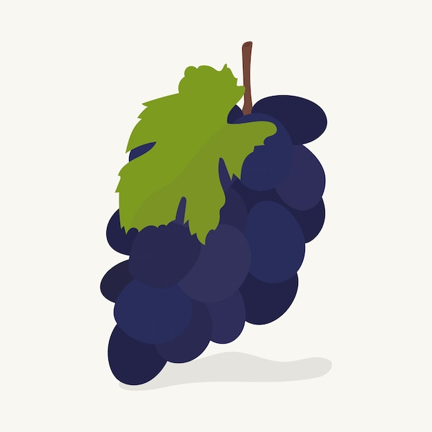 Vector gratuito mano dibujada ilustración de fruta de uvas