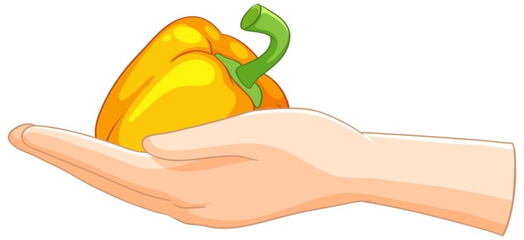 Vector gratuito la mano con un pimiento amarillo