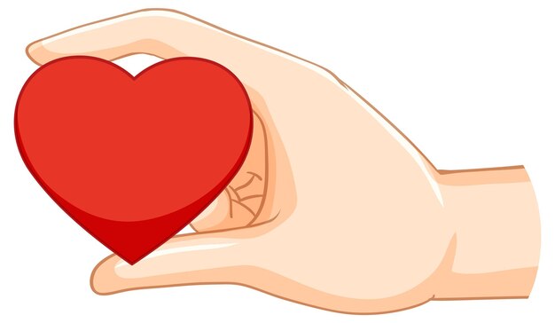 Mano que sostiene el corazón aislado