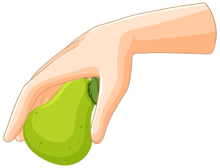 Vector gratuito la mano que sostiene una pera verde
