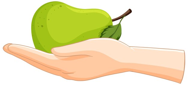La mano que sostiene una pera verde