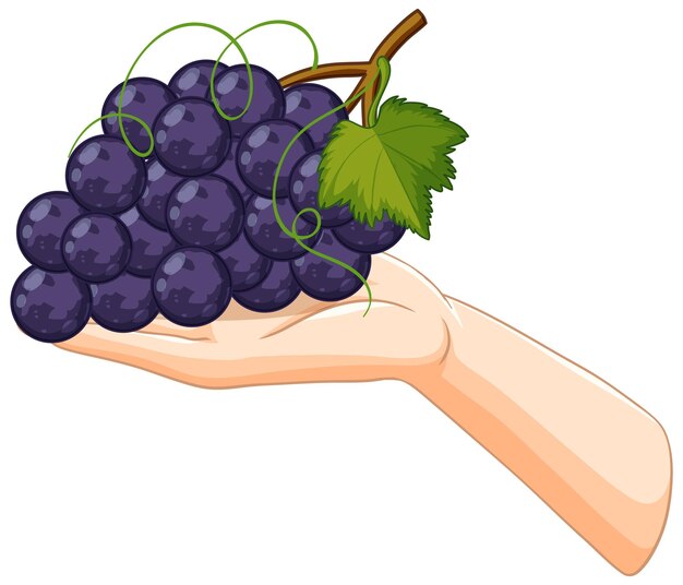 La mano que sostiene un racimo de uvas