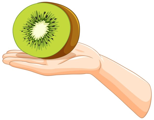 La mano sosteniendo una rebanada de kiwi fresco