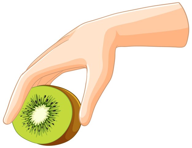 La mano sosteniendo una rebanada de kiwi fresco
