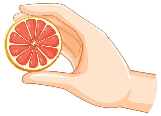 La mano sosteniendo una rebanada de pomelo