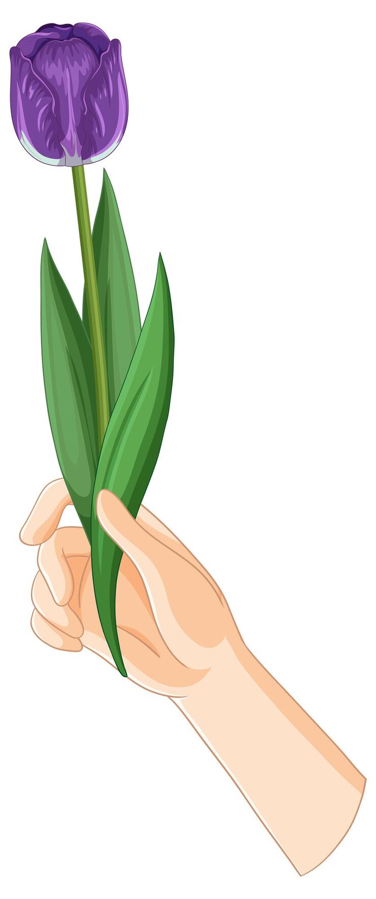 Vector gratuito la mano sostiene una ilustración de tulipán púrpura