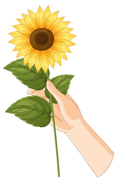 La mano sostiene una vibrante ilustración de girasol
