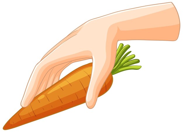 La mano sostiene una zanahoria fresca