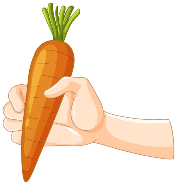 La mano sostiene una zanahoria fresca
