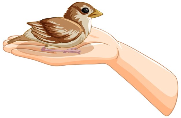 Una mano suave sosteniendo a un pájaro pequeño