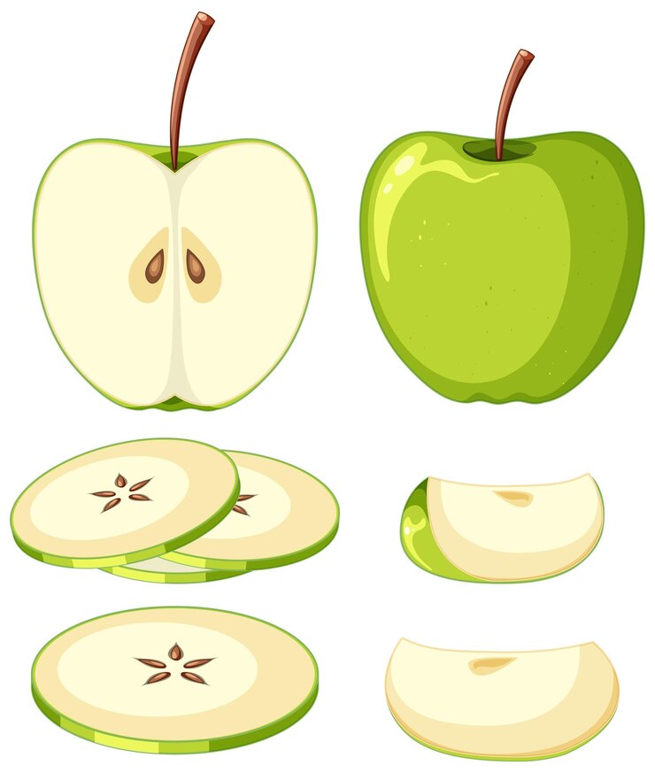 Vector gratuito manzana verde en trozos enteros y en rodajas