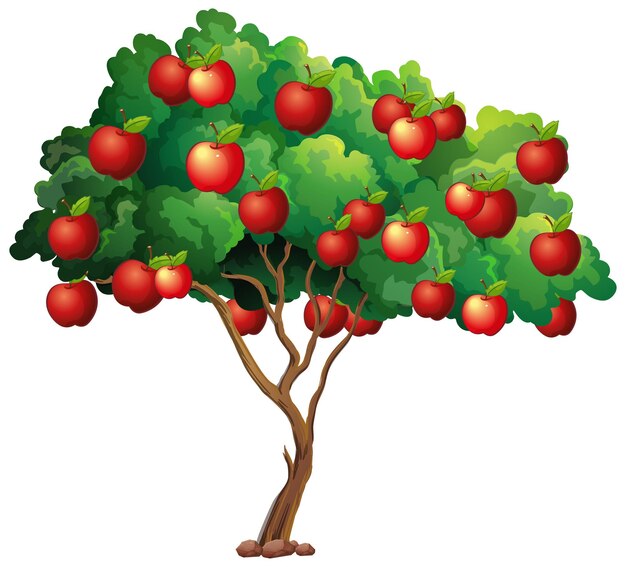 Manzanas rojas en un árbol aislado en blanco