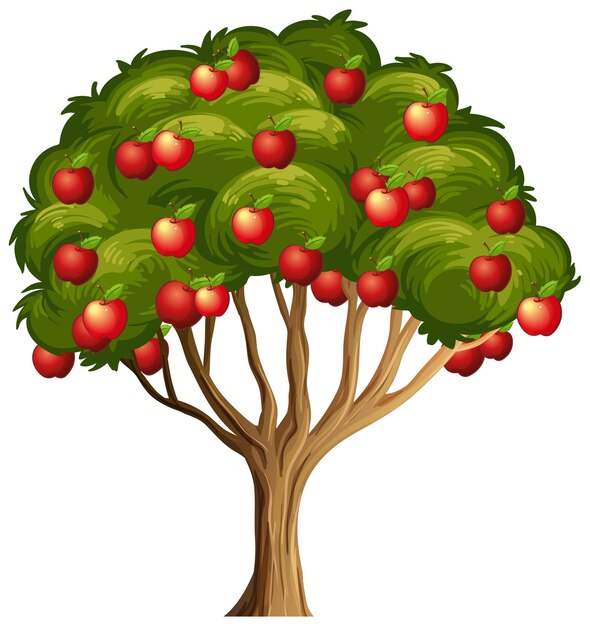 Manzanas rojas en un árbol aislado en blanco