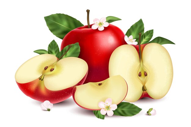 Manzanas rojas frescas enteras y en rodajas con flores y hojas verdes composición realista ilustración vectorial