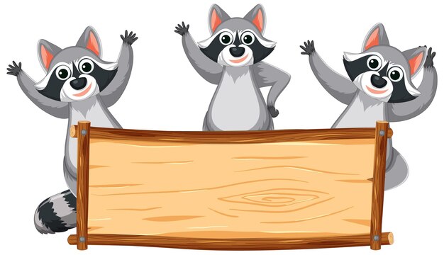 Mapache curioso asomándose detrás del marco de tablero de madera